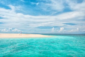 PhiPhi_Bamboo_Island_2023-24_13 (1)