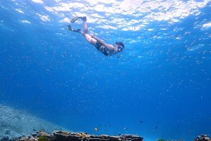 Similan_Island_2025_11_0