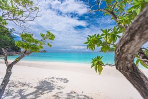 Similan_Island_2025_15_0