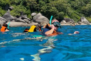 similan snorkelling